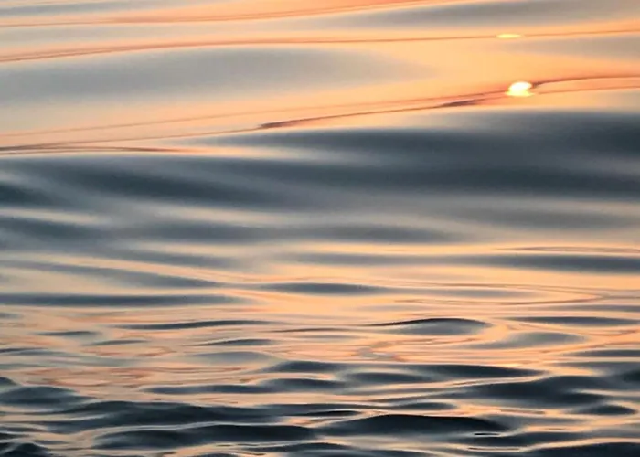 Inselquartier-pellworm Gbr Pellworm